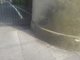 castlepark gate - 10435.jpg